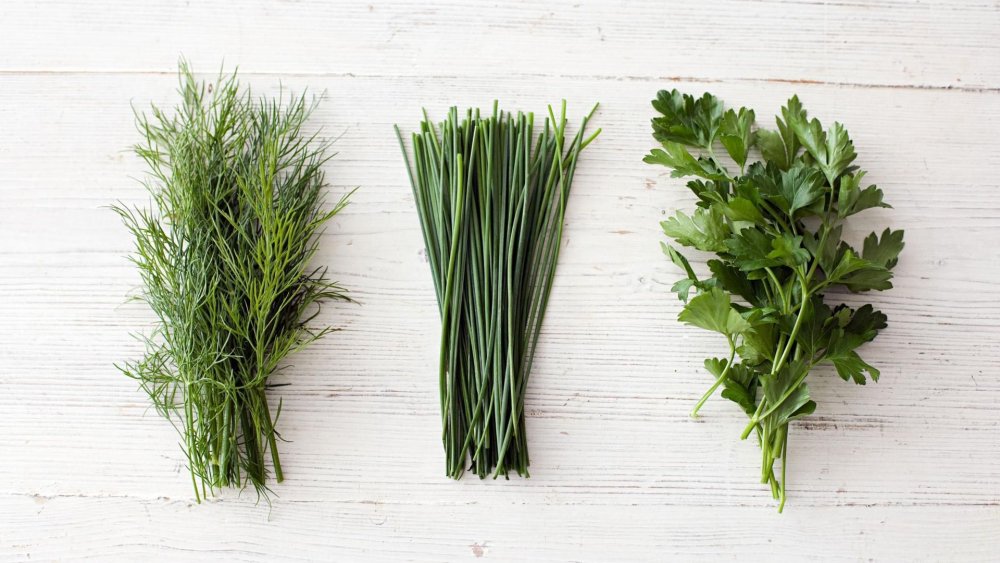 Укроп, кориандр, петрушка сельдерей