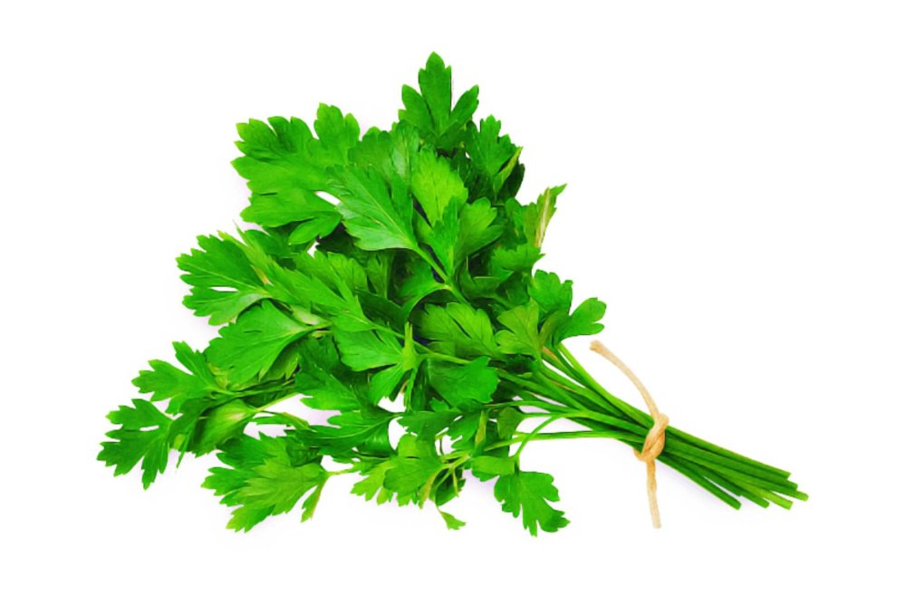 Листья пряных трав