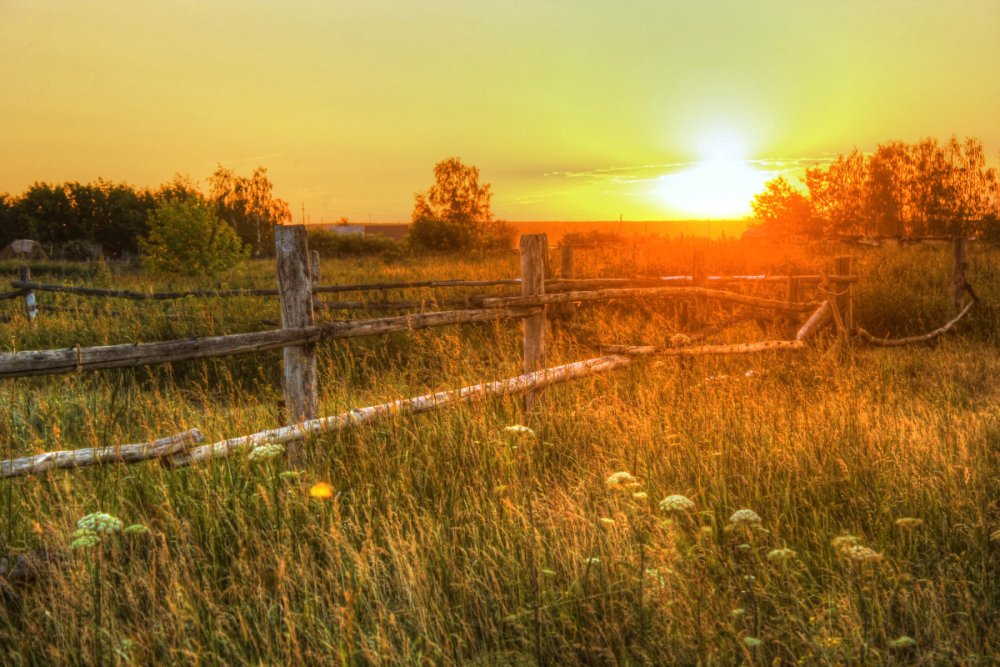 Утро в деревне