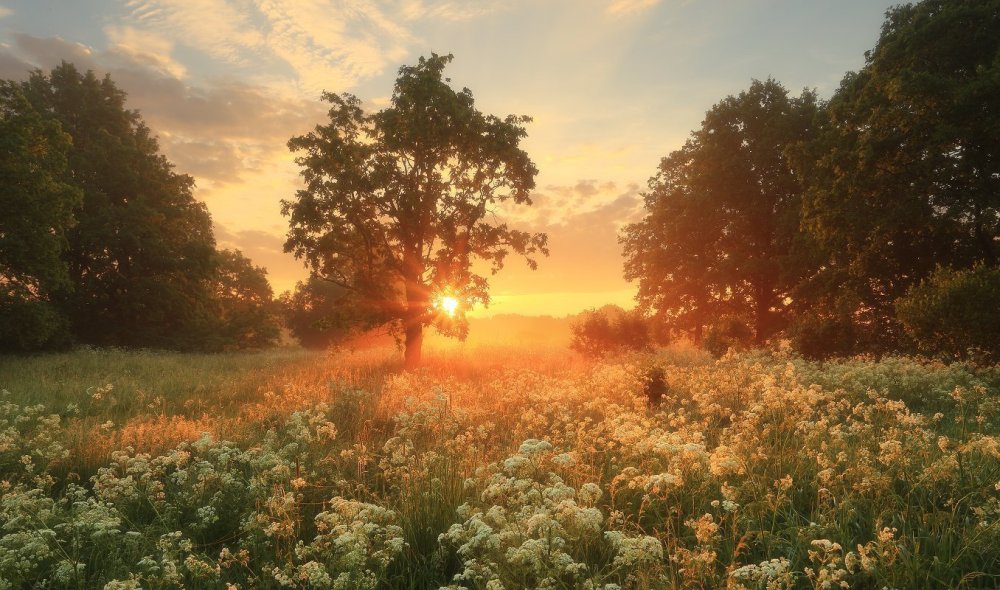 Рассвет в деревне