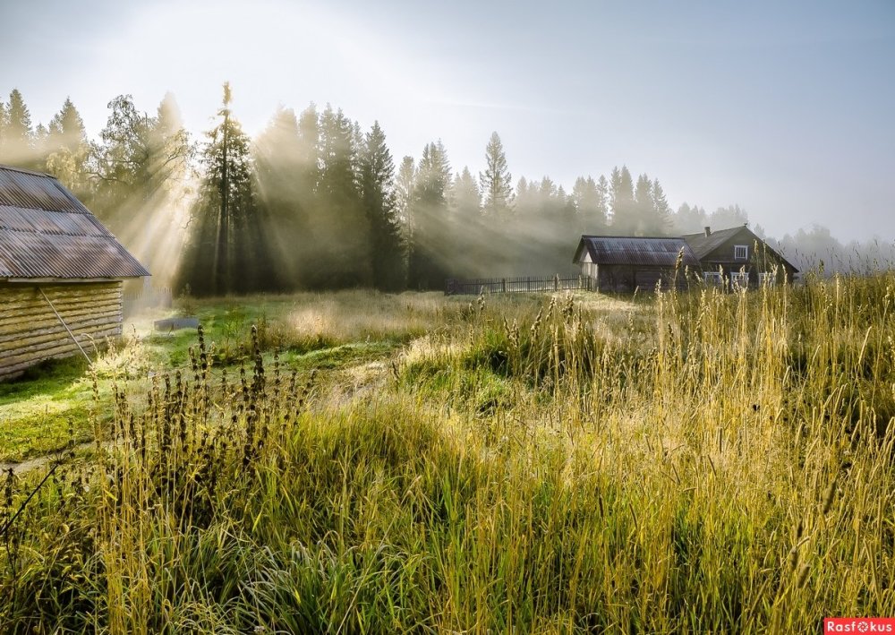 Деревня Церковище Псковская область