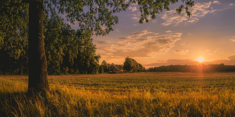 Вид из деревенского окна
