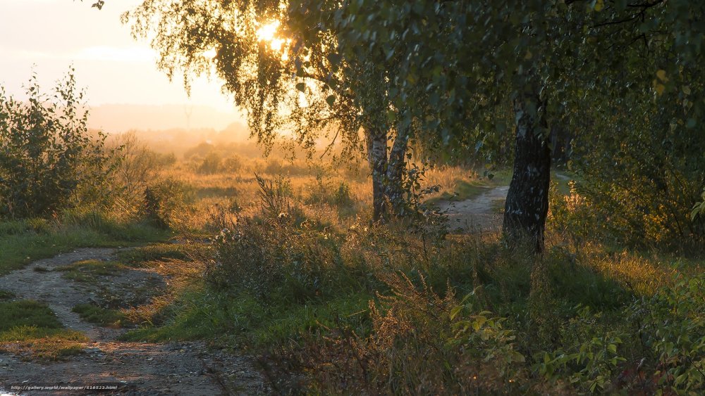 Рассвет в деревне летом