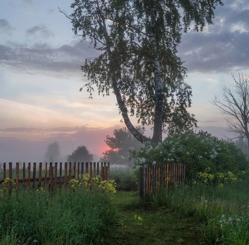 Ранний рассвет в деревне