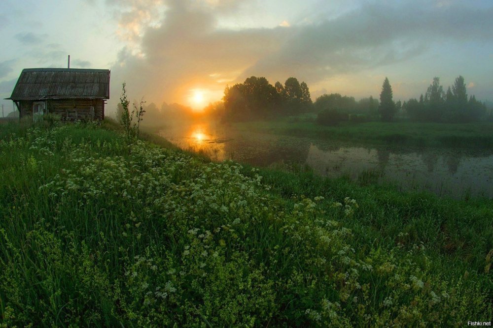 Вячеслав палачев картины лето туман