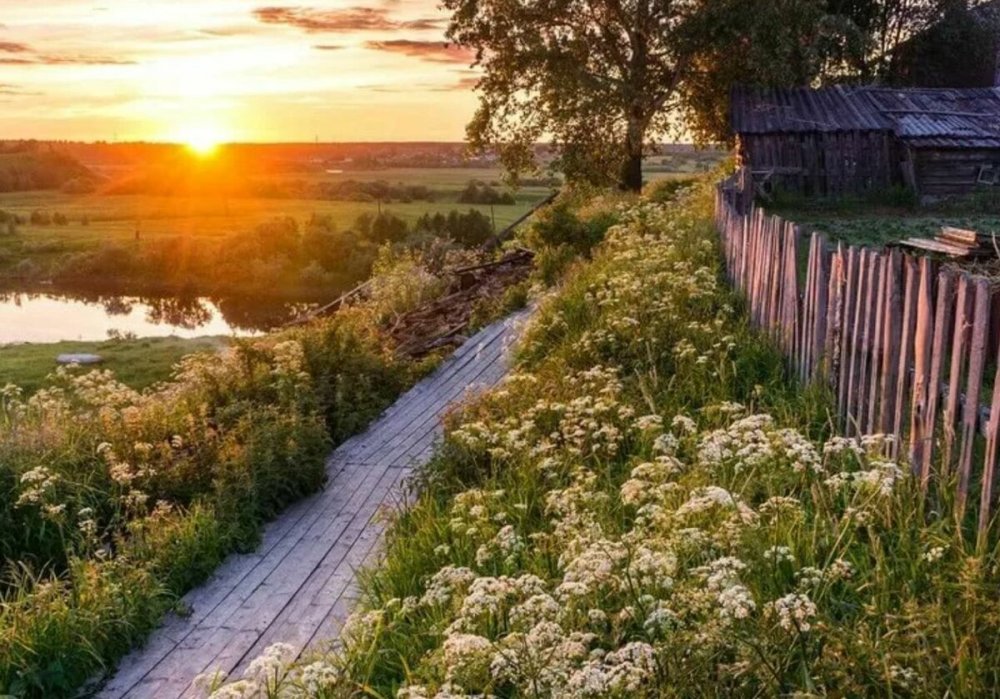 Деревня летом