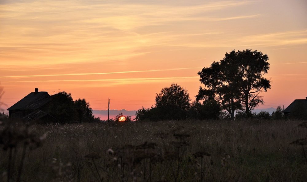 Лето в деревне