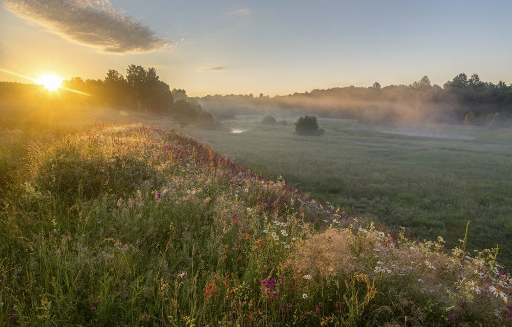 Рассвет в степи
