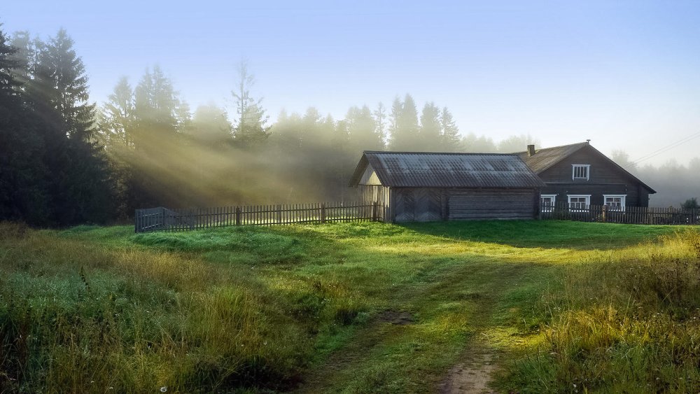 Лужайка в деревне