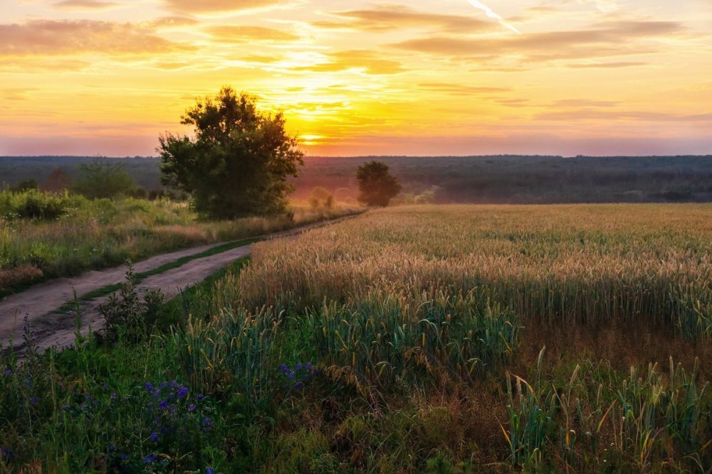 Деревенский дом на закате