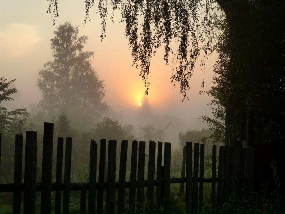 Лето солнце деревня