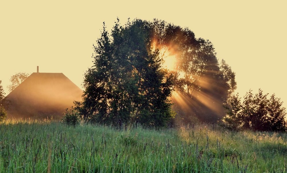 Деревня Церковище