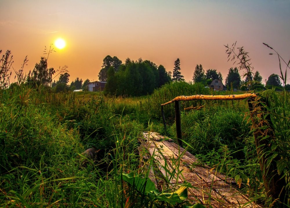 Сергей Есенин Восход солнца стих