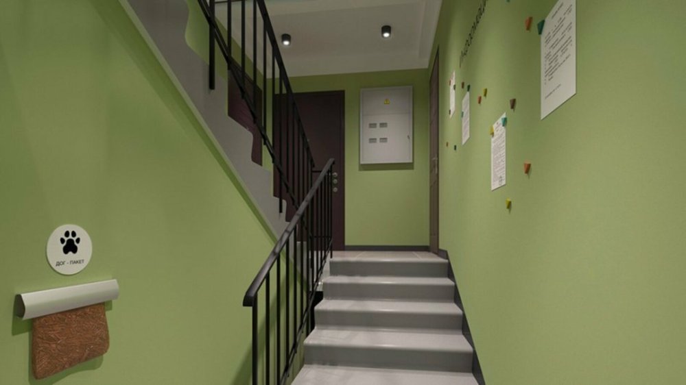 Цвет подъезда