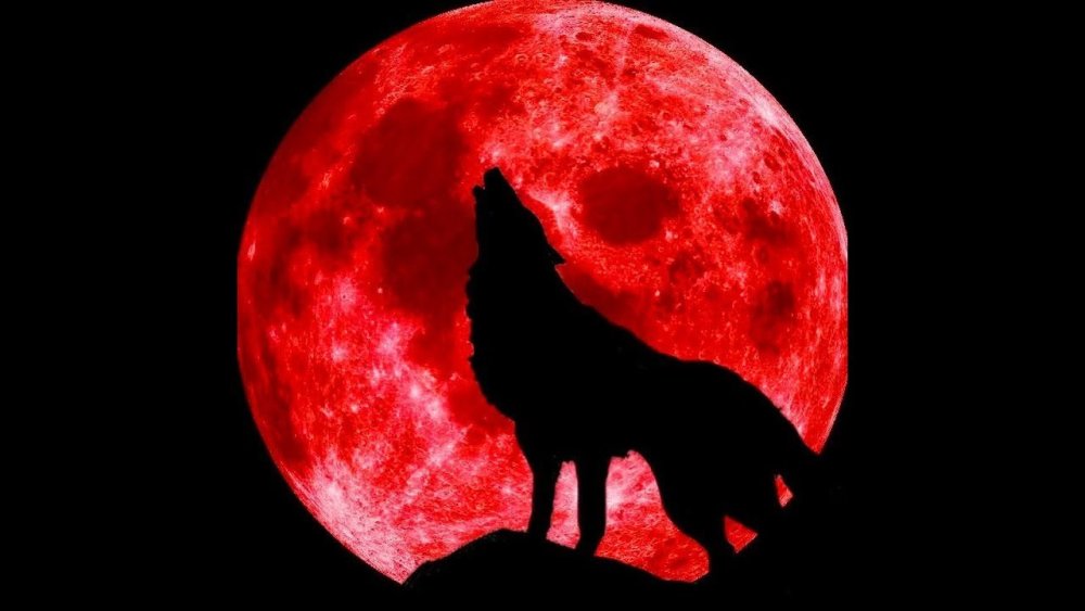 Don Toliver no idea обложка