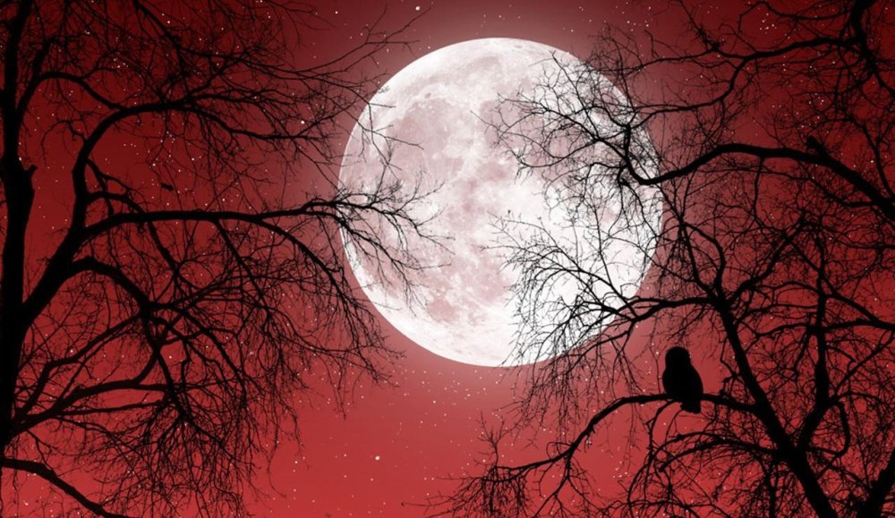 Красный пейзаж