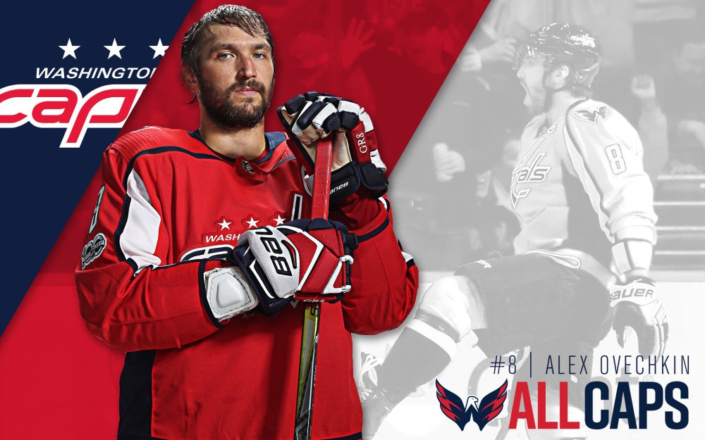 Хоккеист в полный рост