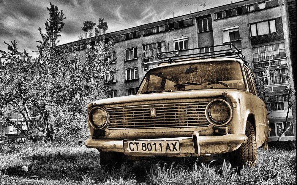 Гаязов Бразер малиновая