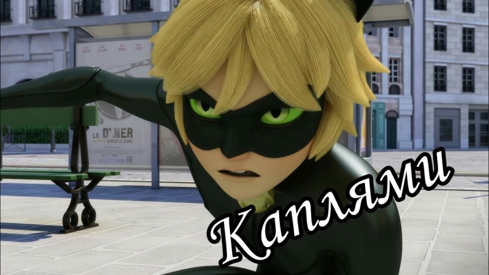 Леди баг и супер кот кот Нуар