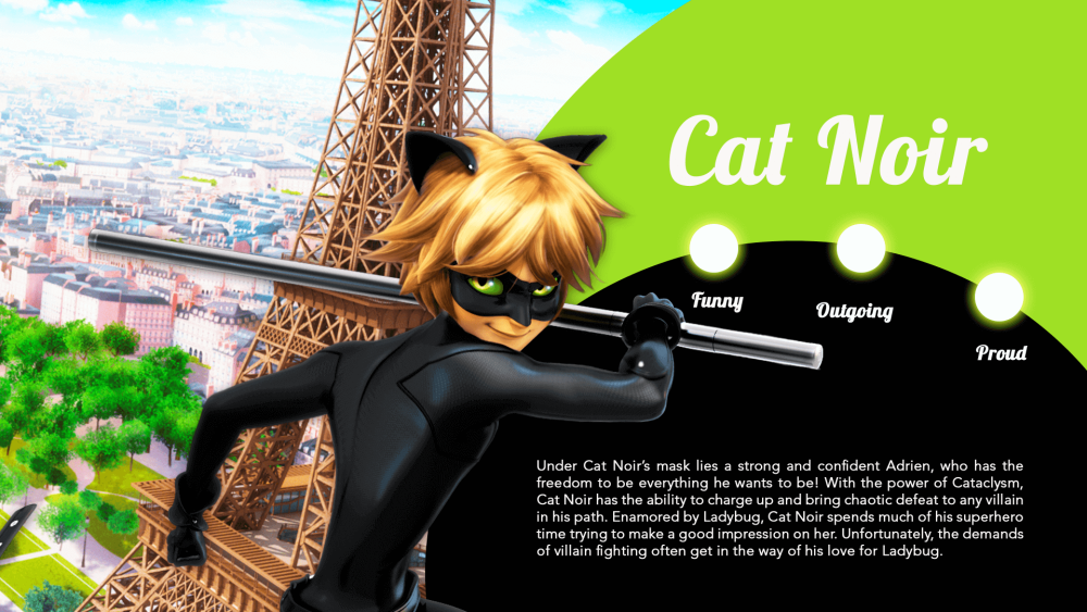 История про супер кота