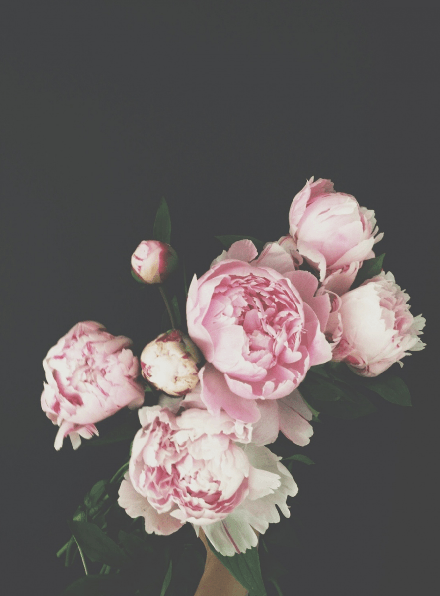 Эстетические цветы