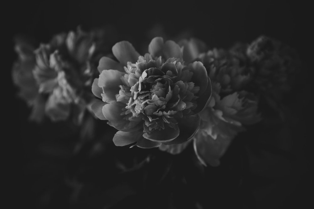 Черно белая Эстетика