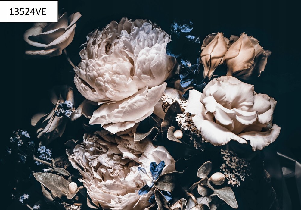 Пионы на черном фоне