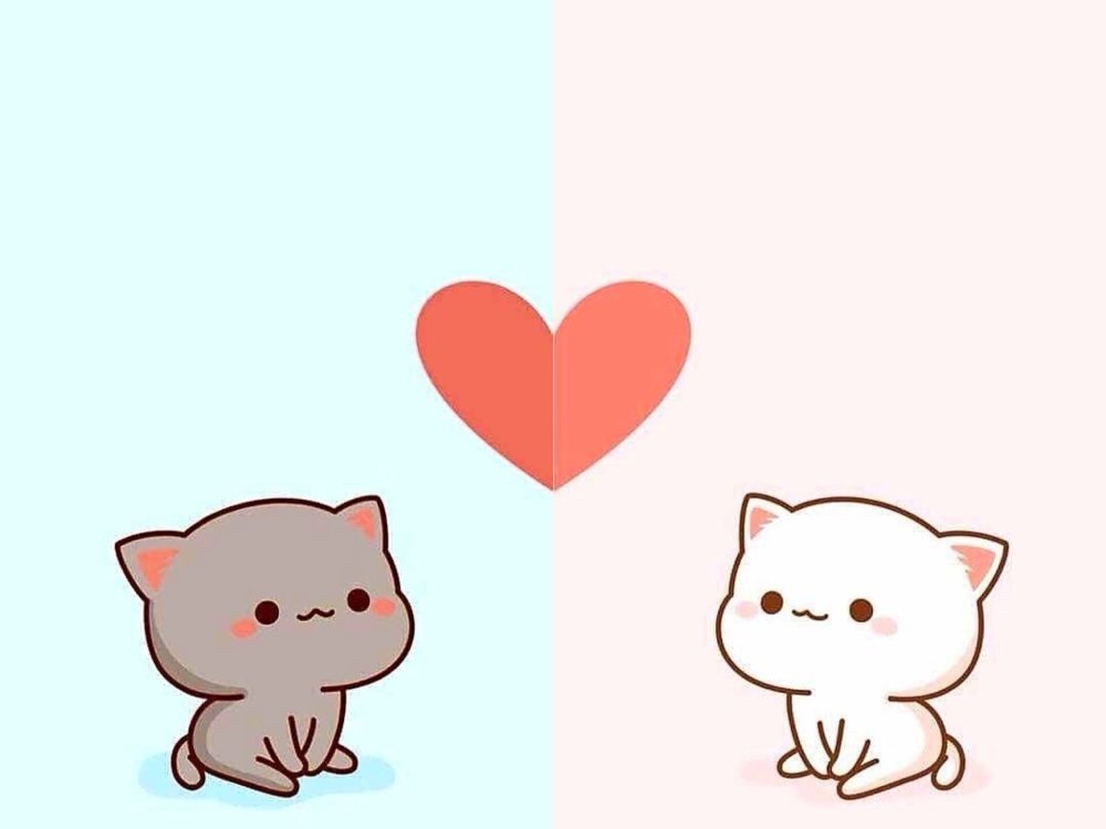 Парные обои с котами