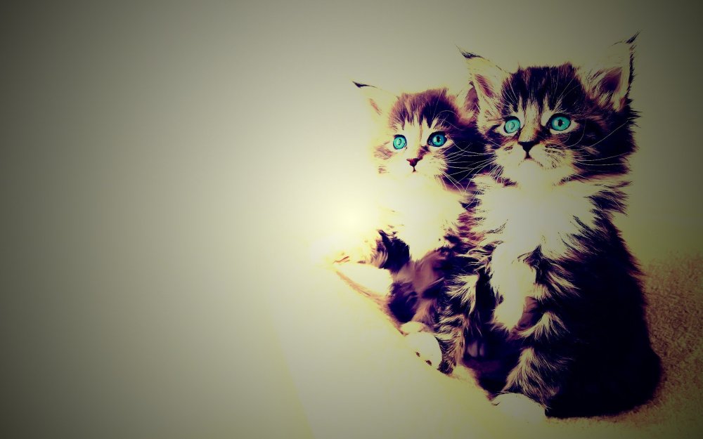 Кавайные парные обои