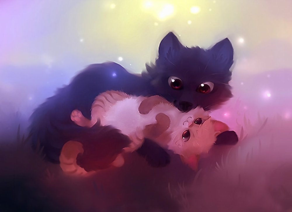 Красивые обои с котиками