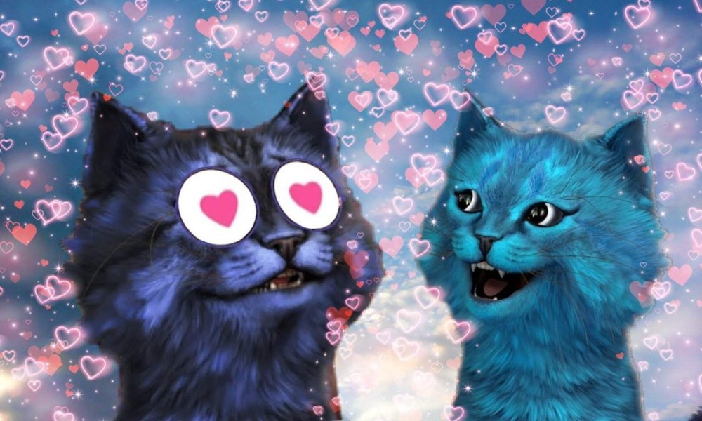 Пушин Кэт на море