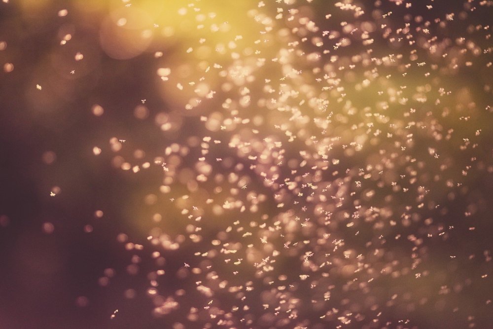 Блики для фотошопа