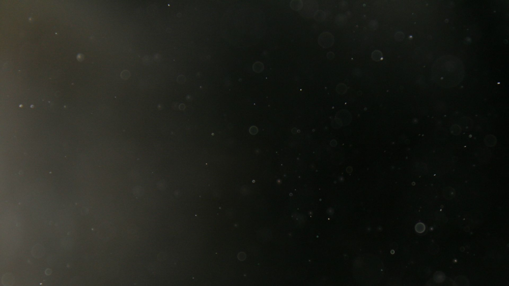 Эффект пыли