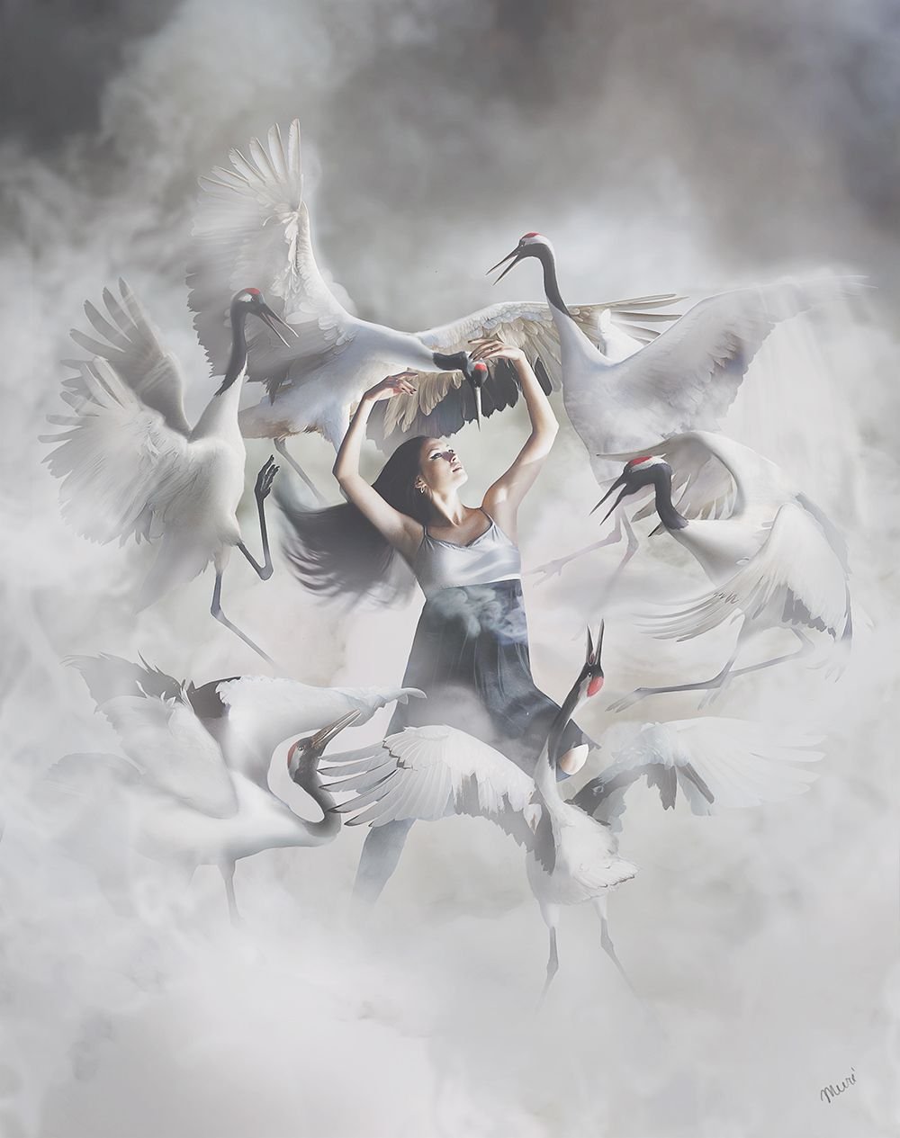 Журавли на озере