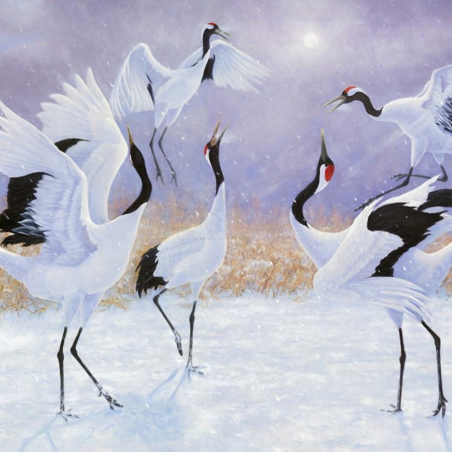Картина Танцующие Журавли