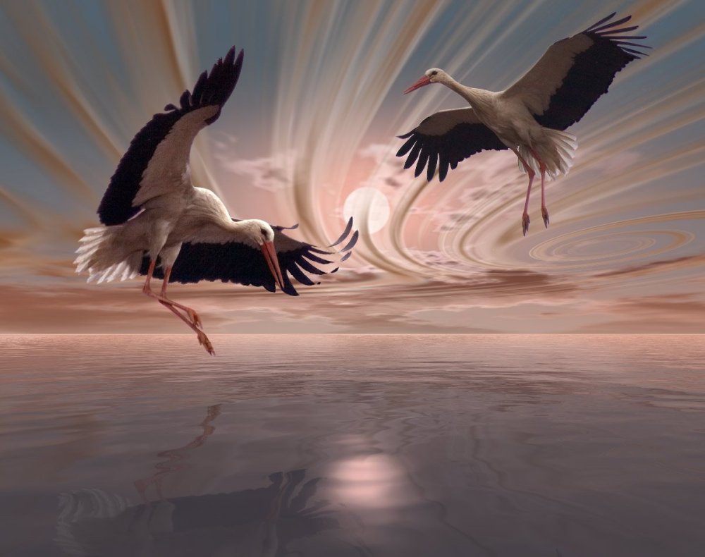 Китайский журавль тату