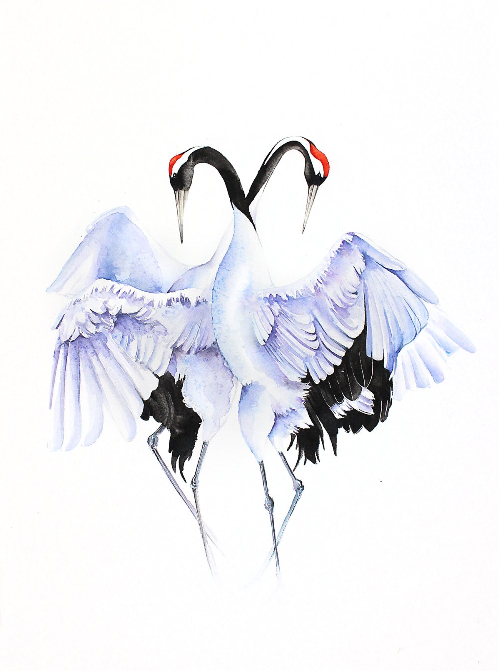 Журавли на снегу