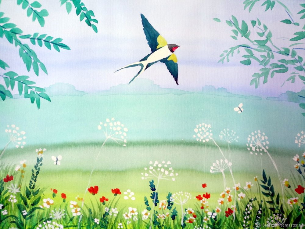 Белолобая Ласточка