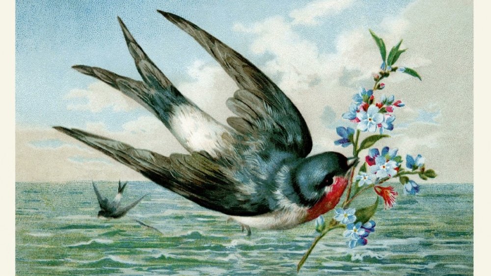 Ласточки в небе