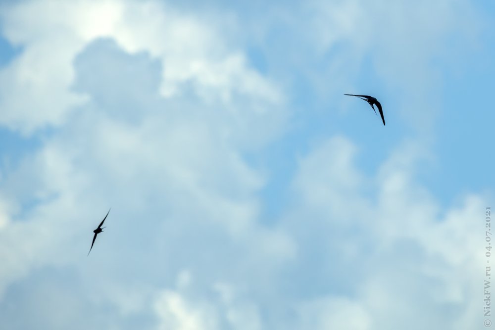 Обои бумажные МОФ Ecostyle серые