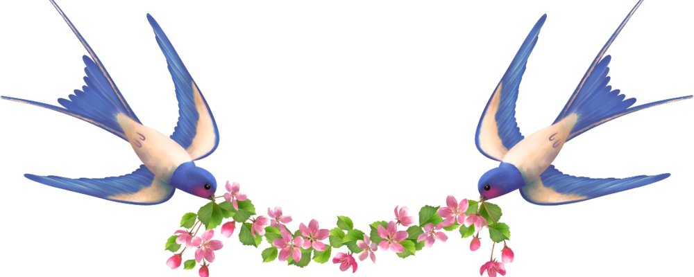 Тату эскизы птицы