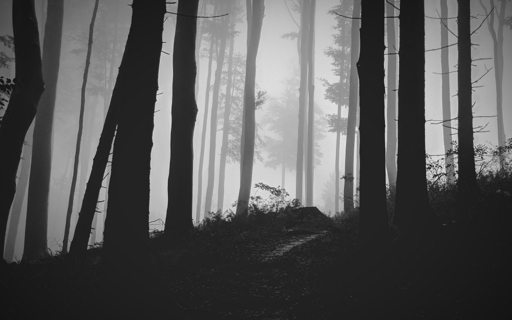 Горная Шория туман