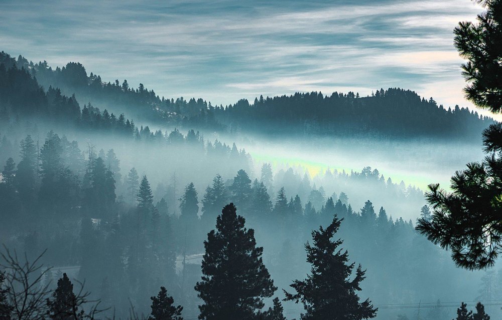 Atmospheric Black Metal лес