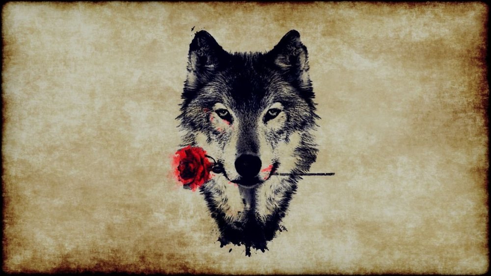 Чехол с волком