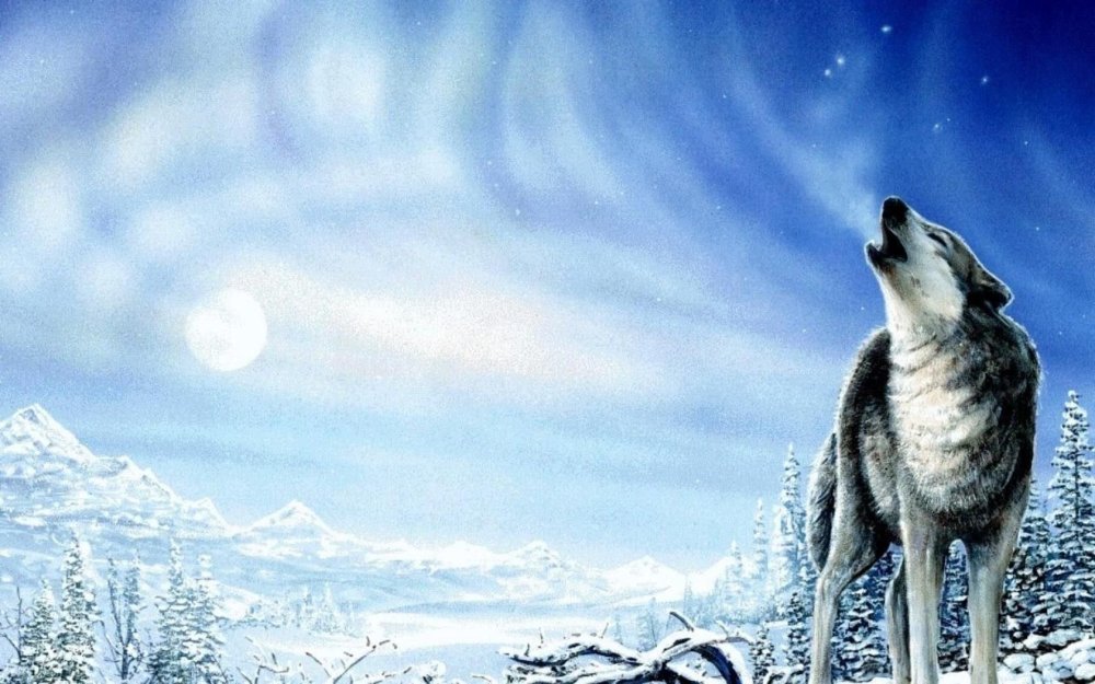 Волк воет зимой