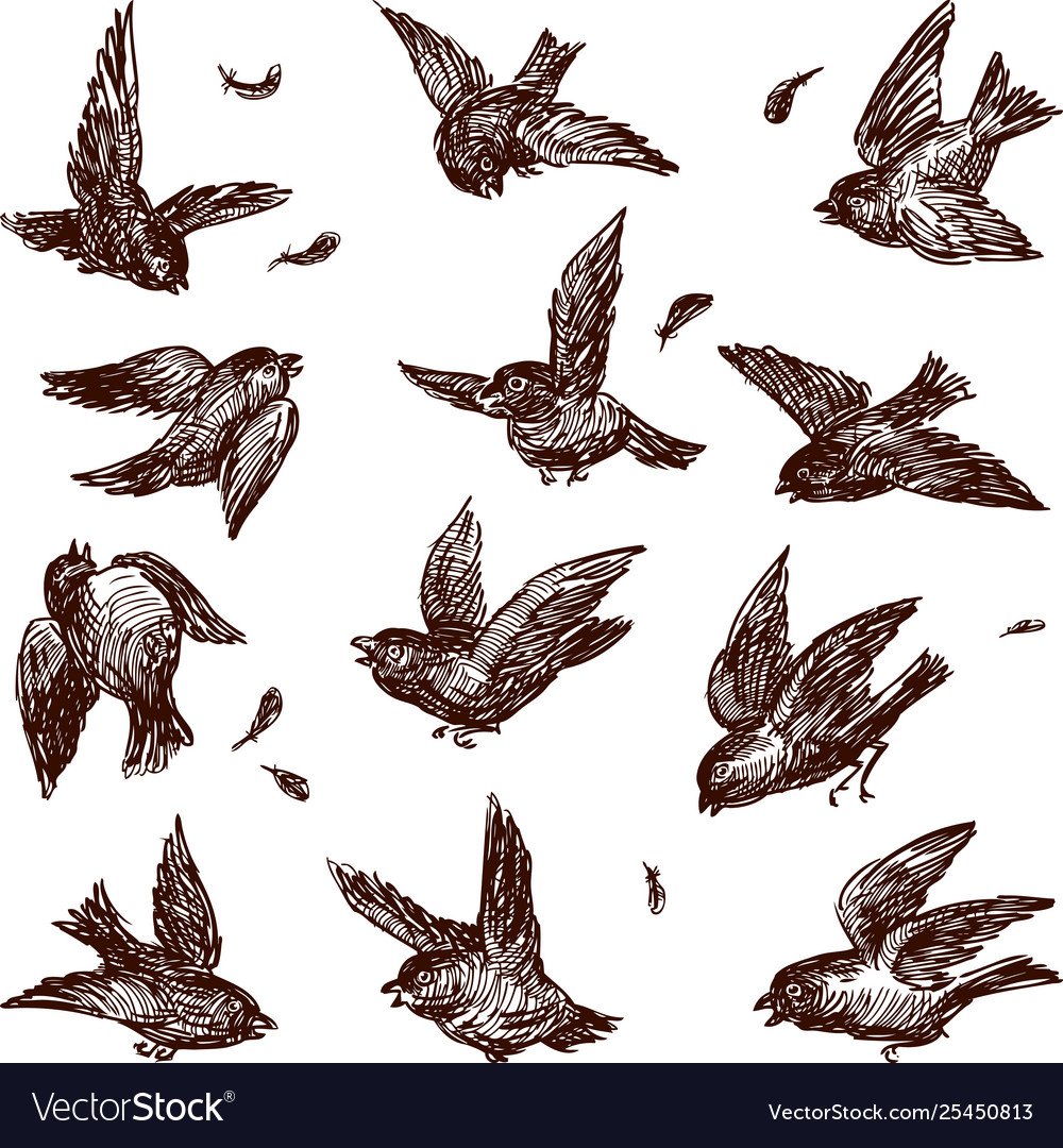 Ласточки летают