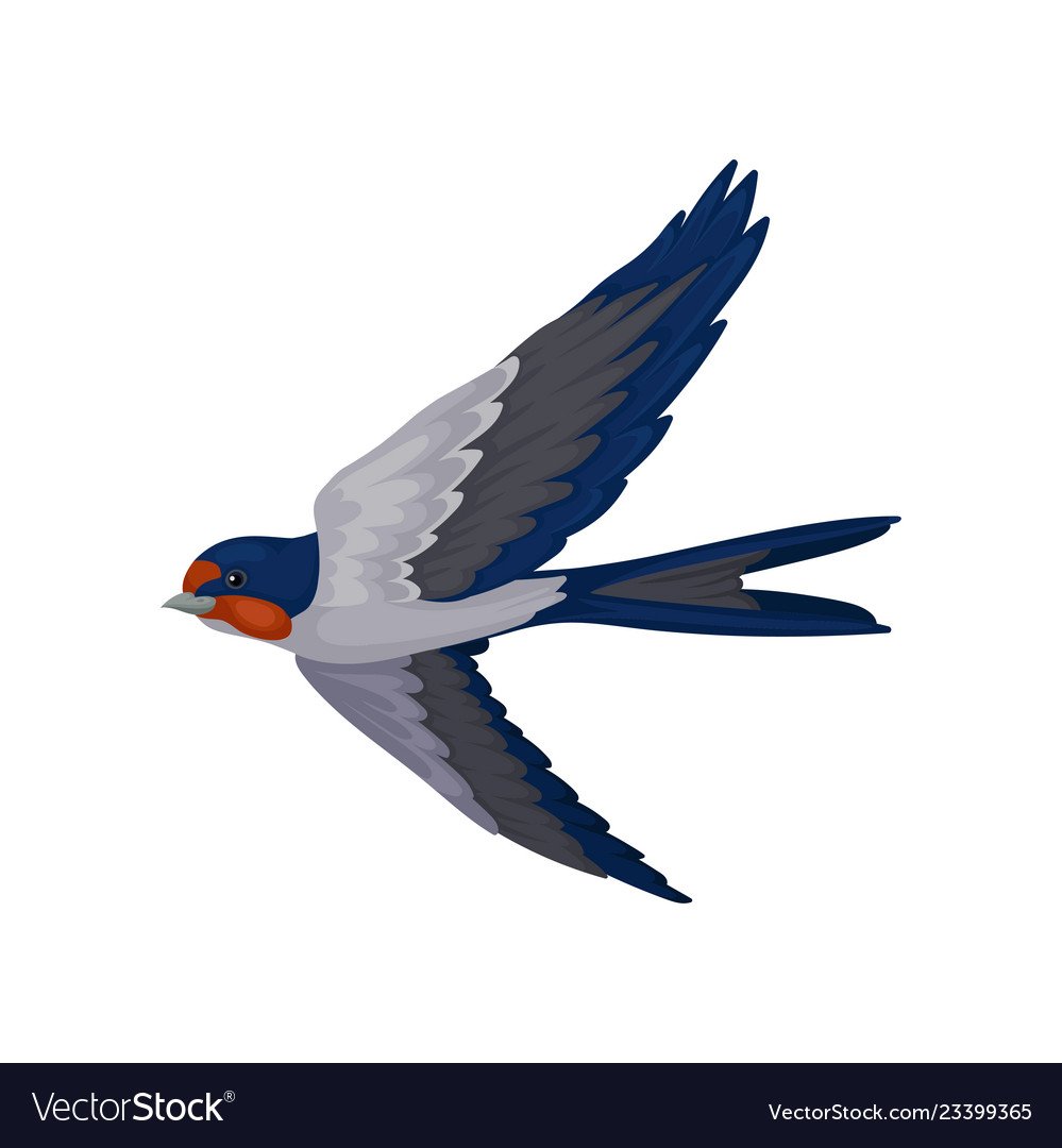 Детский фон Ласточка