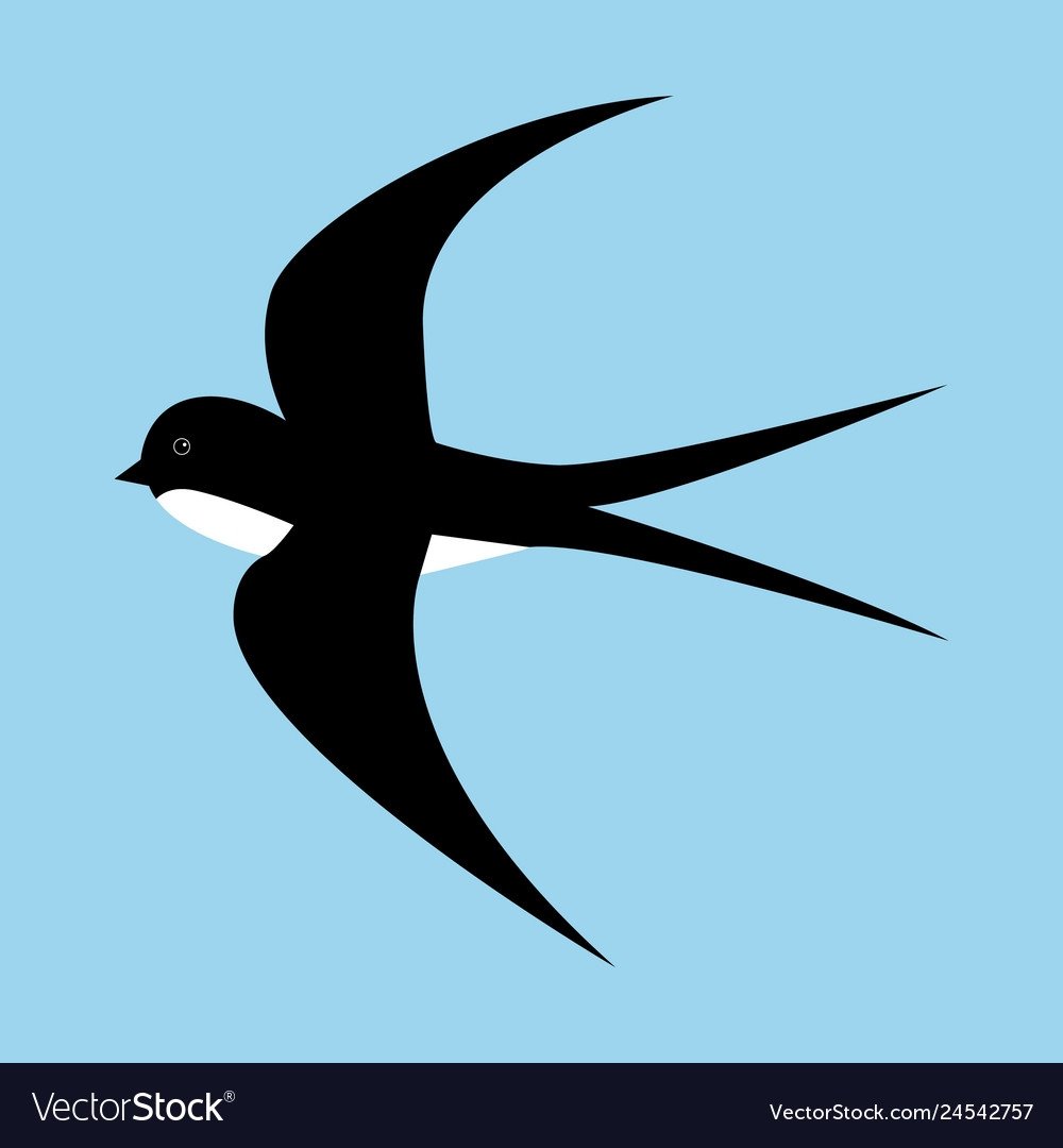 Две ласточки