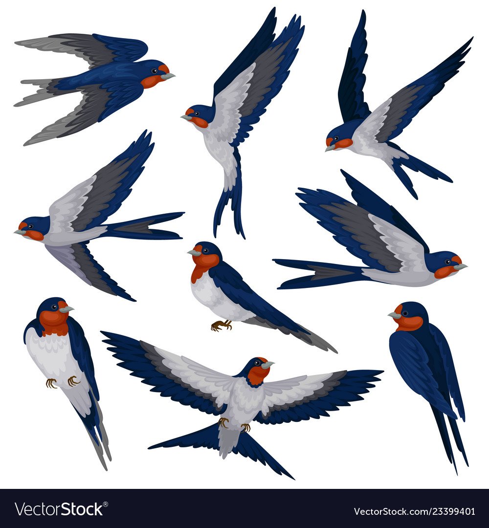 Ласточка old School вектор