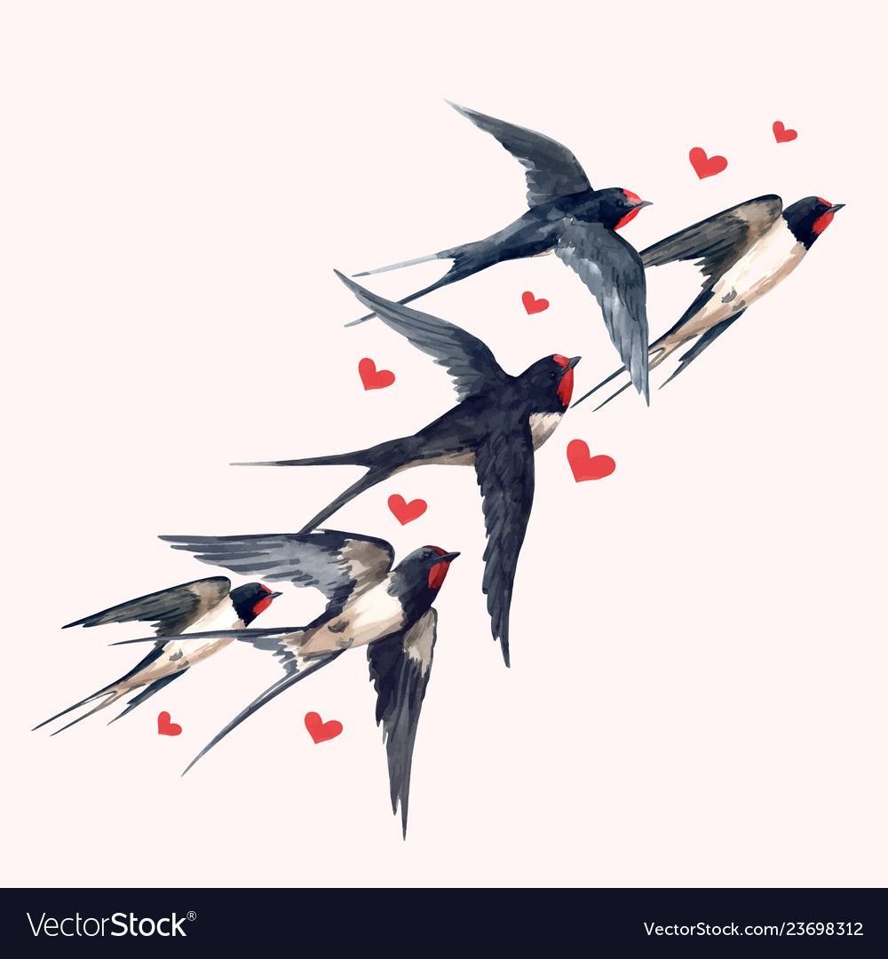 Ласточка Перелетная птица